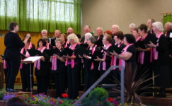 Liederkranz Hirschau 2009